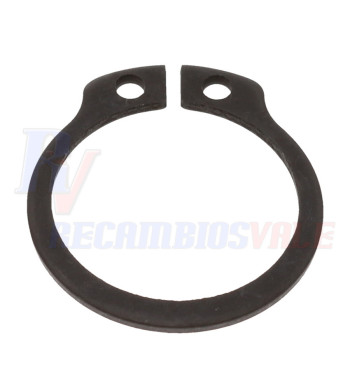 Anillo de retencion 22x1