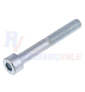 Tornillo M8X55