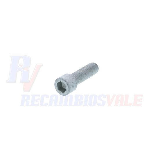 TORNILLO DE CAPUCHON