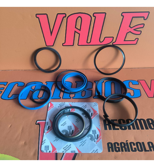 JUEGO DE JUNTAS DE LA BOTELLA INTERIOR PARA MANITOU MT1740, JUEGO DE JUNTAS MANITOU 561618, JUEGO MANITOU 561618, 561618, JUNTAS