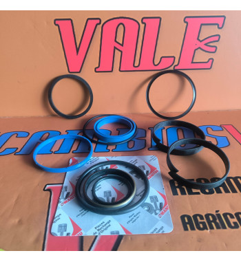 JUEGO DE JUNTAS BOTELLA INTERIOR