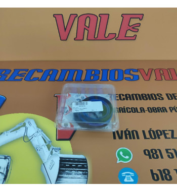 JUEGO DE JUNTAS BOTELLA INTERIOR