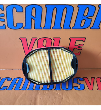 FILTRO AIRE INTERIOR