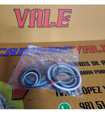 KIT JUNTAS KOMATSU PW95-1 PC95R-2 CAZO 21D6113160 878000363