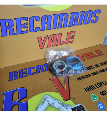 KIT JUNTAS KOMATSU PW95-1 PC95R-2 CAZO 21D6113160 878000363