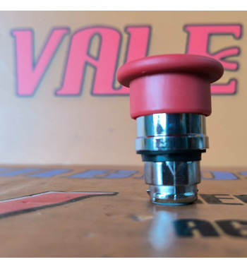 Botón Haulotte 2442009770 – Repuesto de Control