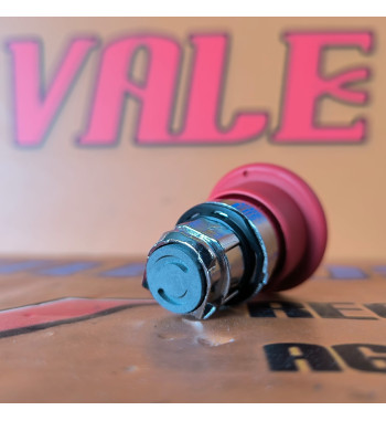 Botón Haulotte 2442009770 – Repuesto de Control