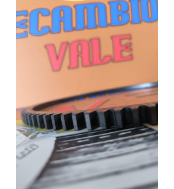 Corona arranque Ausa Diter 010079800 recambio motor