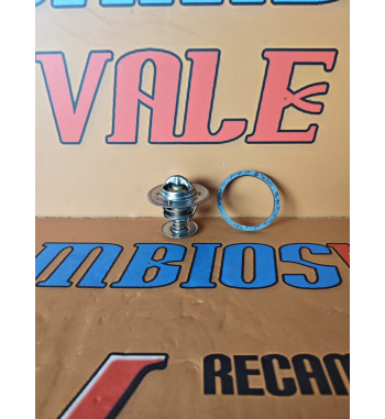 TERMOSTATO HYUNDAI CNH