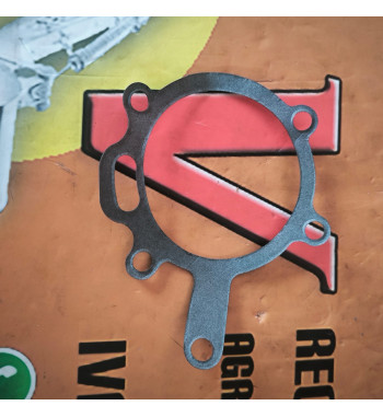 Bomba de agua Manitou 133929