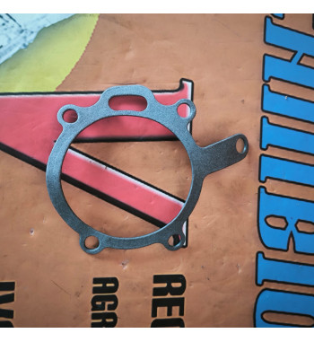 Bomba de agua Manitou 133929