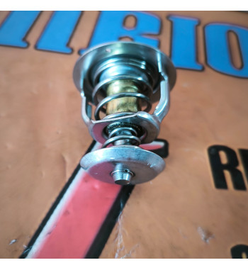 TERMOSTATO AUSA - Ref. 9050010