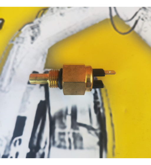 SENSOR TEMPERATURA CAMBIO MANITOU - Ref. 894633