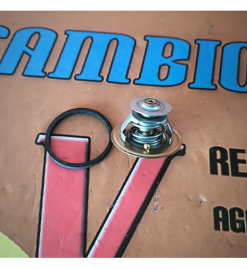 TERMOSTATO IVECO BARFORD - Ref. 98463637