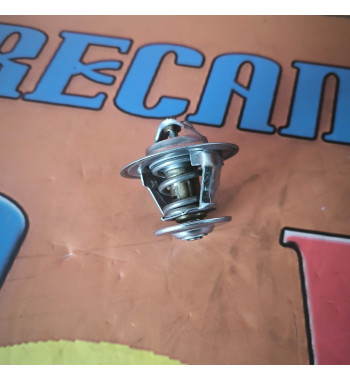 Termostato refrigerante Ford 87º