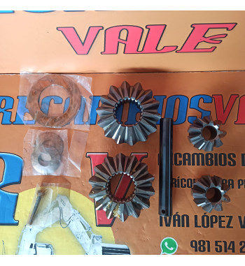 JUEGO PIÑONES DIFERENCIAL - Ref. 13053771