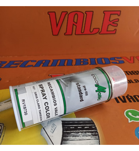 BOTE SPRAY 400ML GRIS CLARO TAKEUCHI