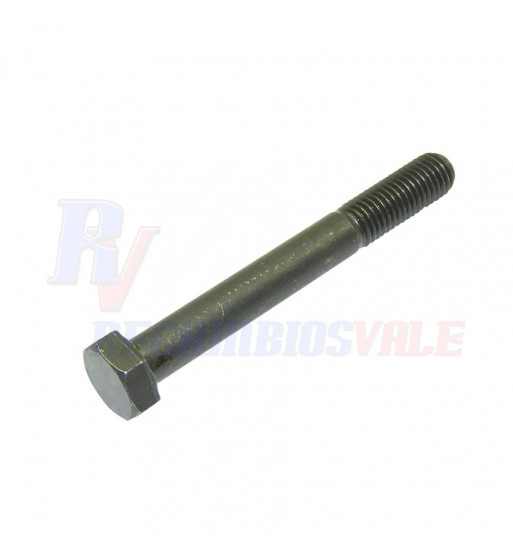 UNI 24014 M12x100 10