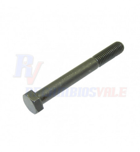 UNI 24014 M12x100 10