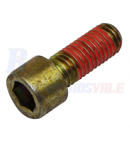 SCREW -HEXAGON SOCKET HEAD CAP