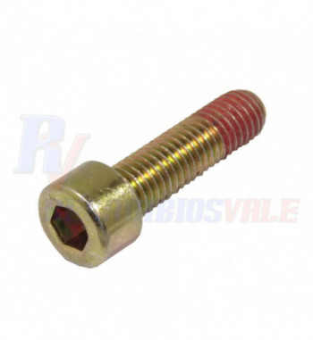 SCREW -HEXAGON SOCKET HEAD CAP