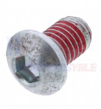 SCREW -HEXAGON SOCKET HEAD CAP