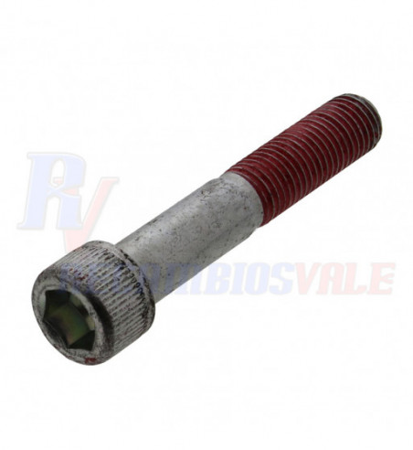 SCREW -HEXAGON SOCKET HEAD CAP