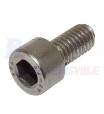 SCREW -HEXAGON SOCKET HEAD CAP