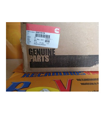 COLECTOR ESCAPE CUMMINS 143901919