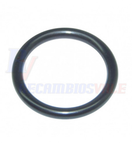 JUNTA TORICA, MANITOU, 475058