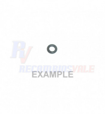 O-RING