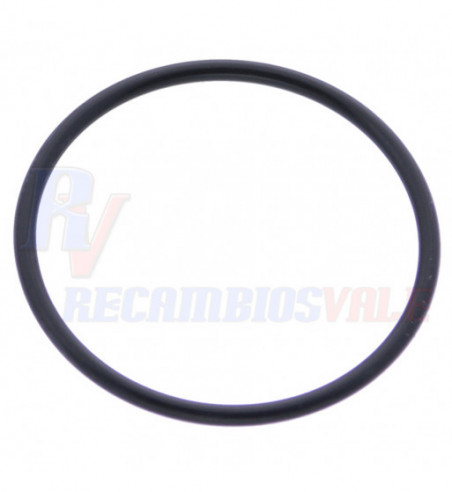 JUNTA TORICA, MANITOU, 52572221