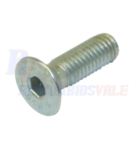 TORNILLO, MANITOU, 53003438