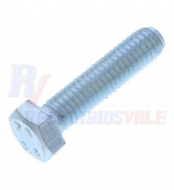 VITE A TESTA ESAGONALE, MANITOU, 54230