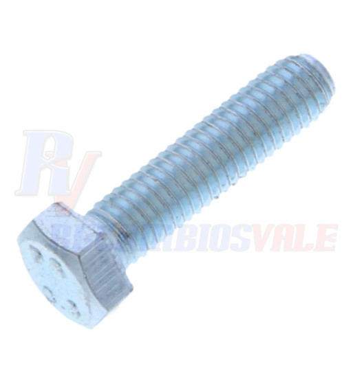 VITE A TESTA ESAGONALE, MANITOU, 54230