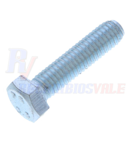 VITE A TESTA ESAGONALE, MANITOU, 54230