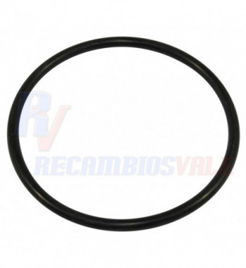 JUNTA TORICA, MANITOU, 548985