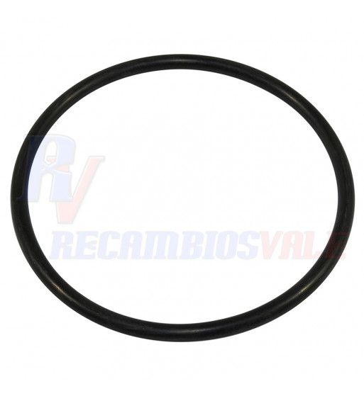 JUNTA TORICA, MANITOU, 548985