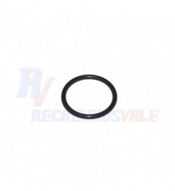 JUNTA TORICA, MANITOU, 550596