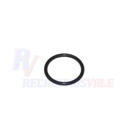 JUNTA TORICA, MANITOU, 550596