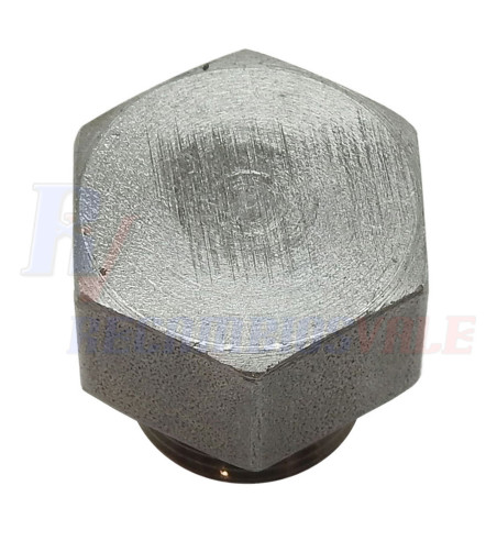 PLUG, MANITOU, 550622