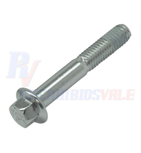TORNILLO, MANITOU, 561305