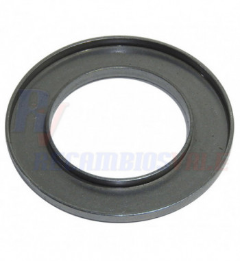 RETAINER SPRING, MANITOU, 561800