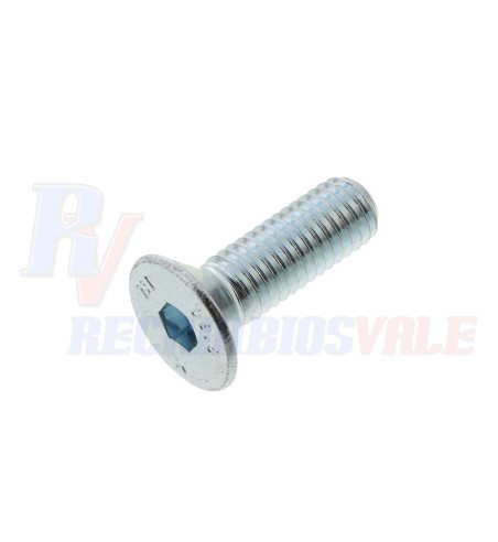 TORNILLO, MANITOU, 563843