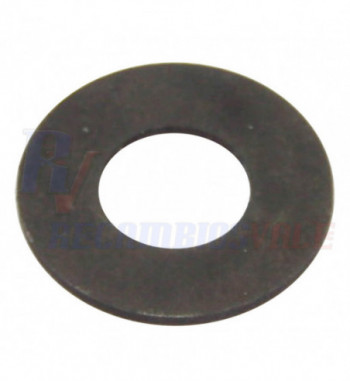 WASHER, MANITOU, 564381