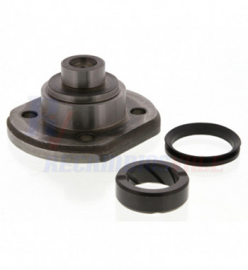 PIVOTE, MANITOU, 564678