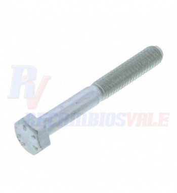 SCREW, MANITOU, 58522