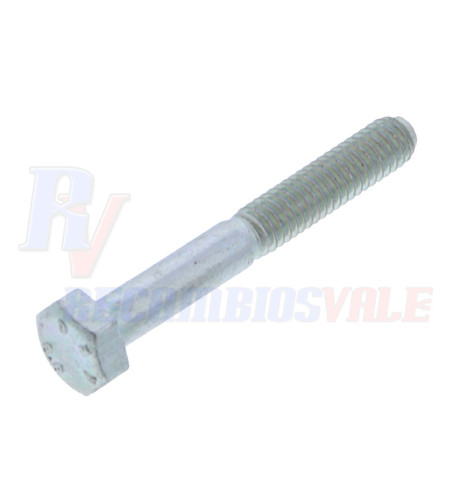 SCREW, MANITOU, 58522