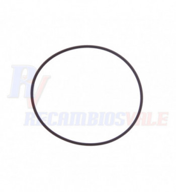 JUNTA TORICA, MANITOU, 600366