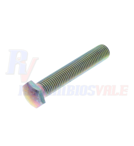 TORNILLO, MANITOU, 602219